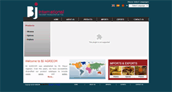 Desktop Screenshot of bjint.com